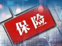营收净利双增！中国太保“中考”亮眼，稳步增加权益配置