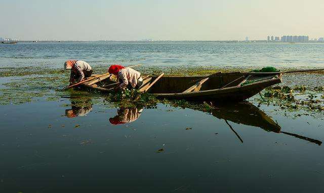 伦敦金交易止损怎么设